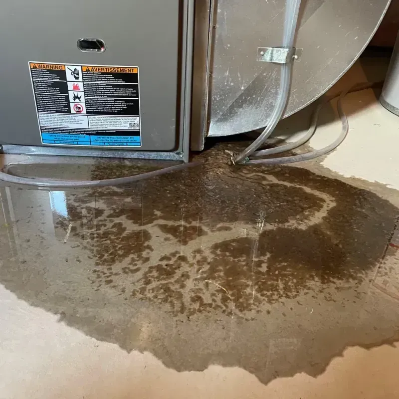 Appliance Leak Cleanup in Beverly, TX